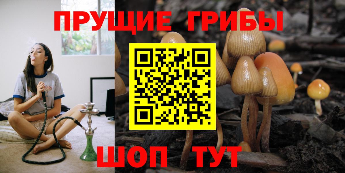 Псилоцибиновые грибы GOLDEN TEACHER  Галлюциногенные грибы прущие грибы  Острогожск  Вход с VPN 